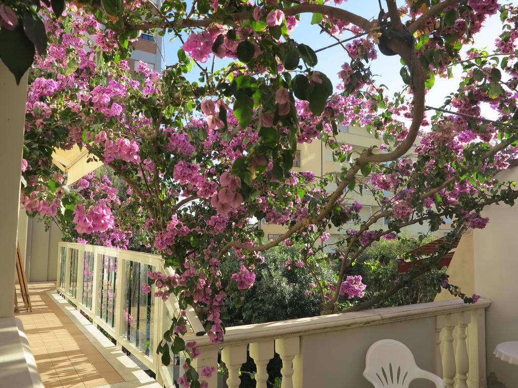Casamare Hotel Сан-Вінченцо Екстер'єр фото