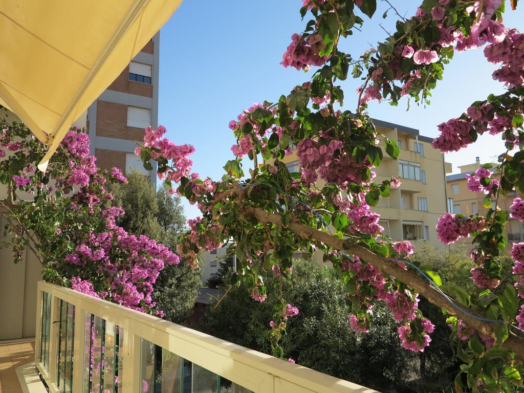 Casamare Hotel Сан-Вінченцо Екстер'єр фото